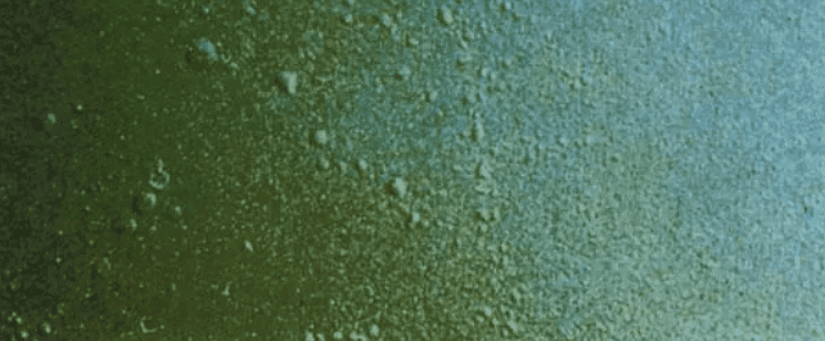 涂料消泡劑應(yīng)用場景展示圖