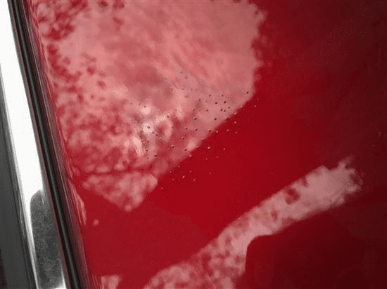 面漆消泡劑應(yīng)用場(chǎng)景圖